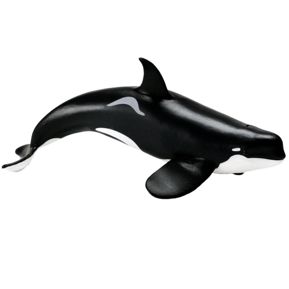 Safari Ltd Type D Orca