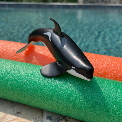 Safari Ltd Type D Orca