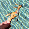 Safari Ltd Weedy Seadragon XL