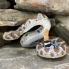 Safari Ltd Western Diamondback Rattlesnake XL