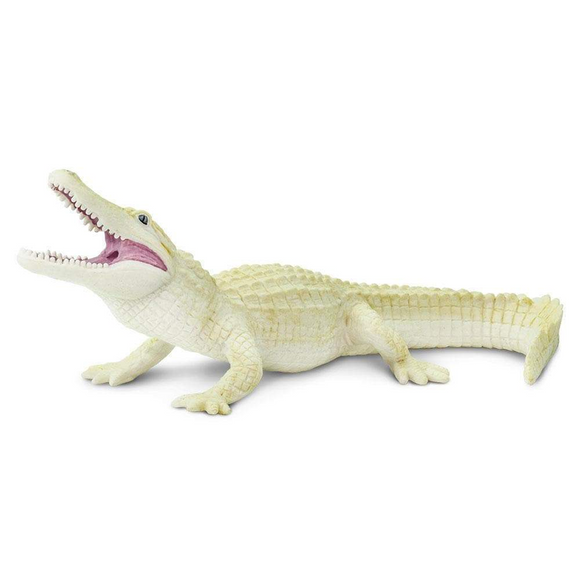 Safari Ltd White Alligator