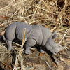 Safari Ltd White Rhino