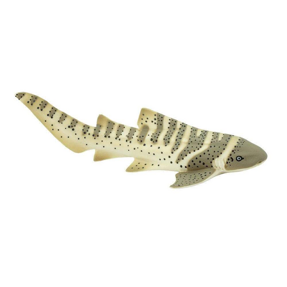 Safari Ltd Zebra Shark