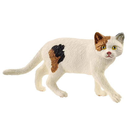 Mixed Cat 6pc Bundle
