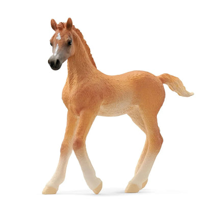 Schleich Arabian Foal