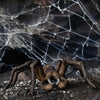 Schleich Aragog the Spider