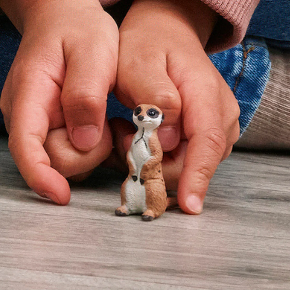 Schleich Meerkat