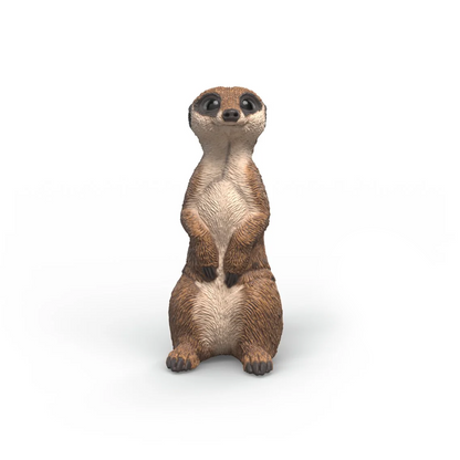 Schleich Meerkat