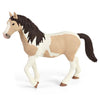 Schleich Pinto Mare Special Paint