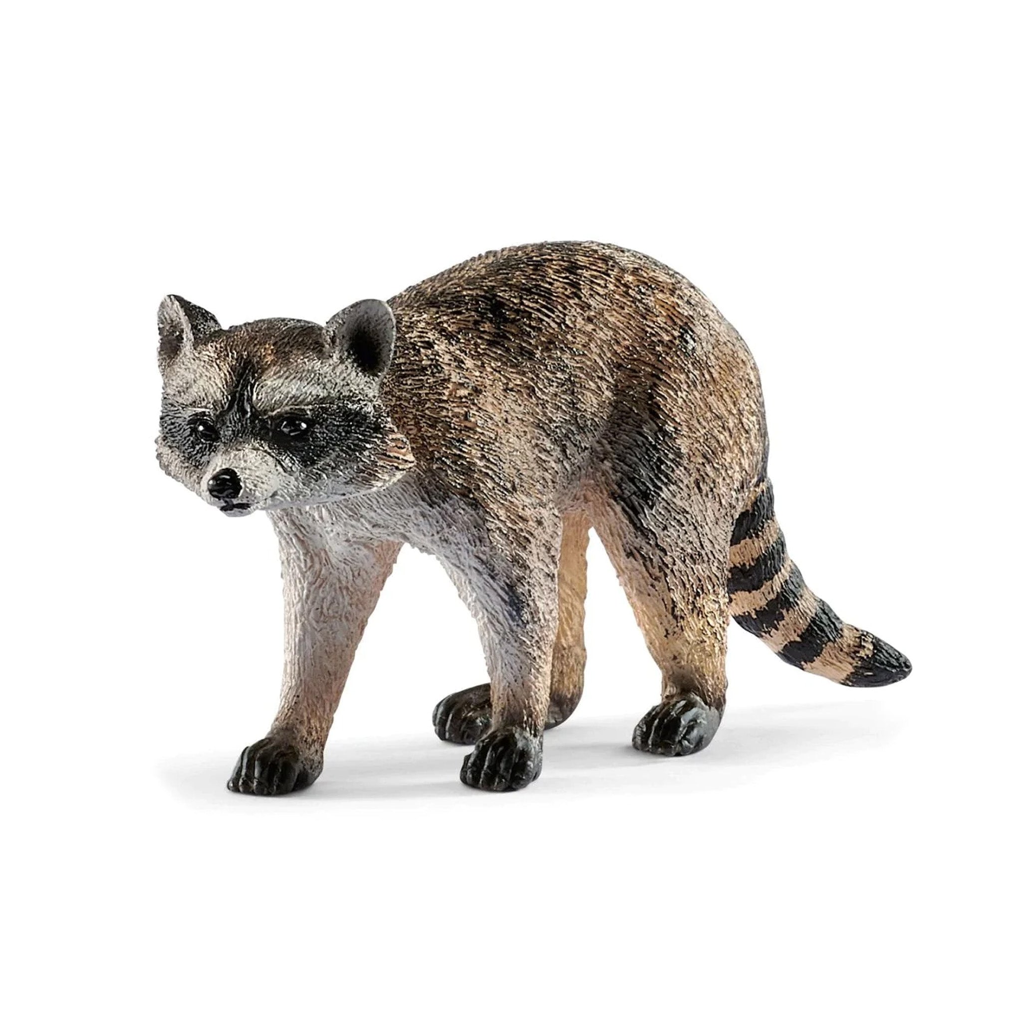 Schleich Raccoon – Animal Kingdoms Toy Store - Main Image