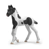 Schleich Collectible Foal Rocky