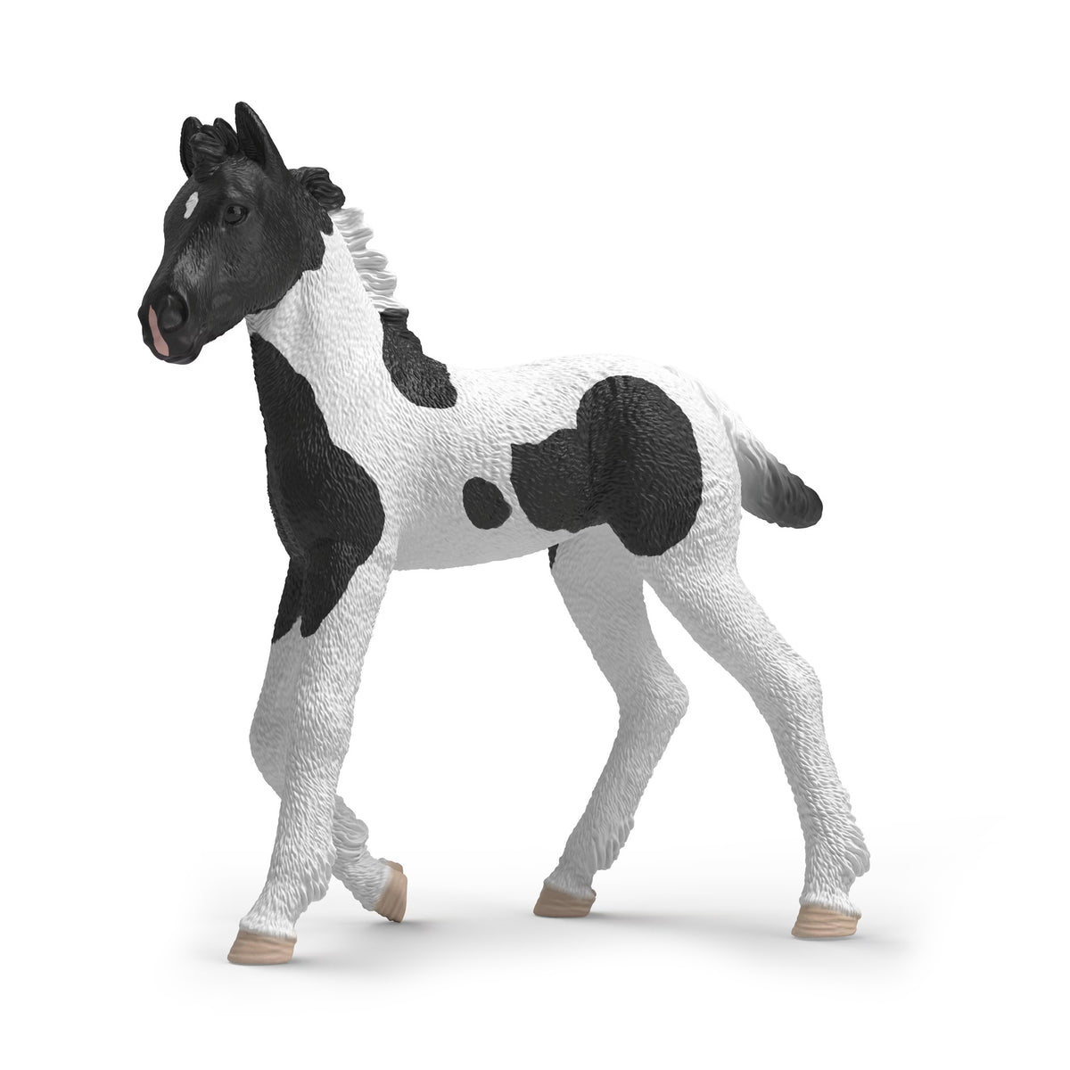 Schleich Collectible Foal Rocky
