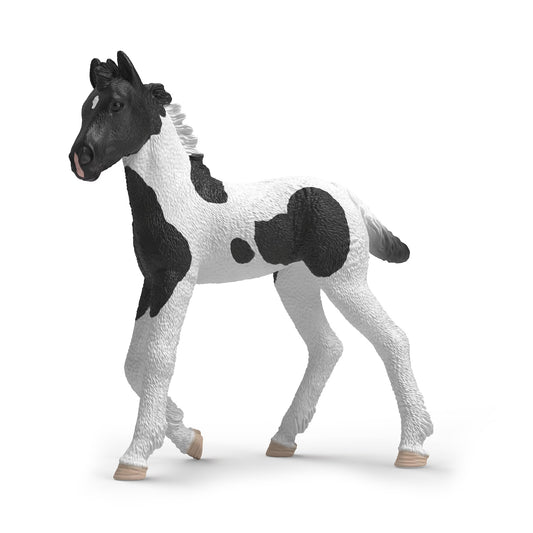Schleich Collectible Foal Rocky