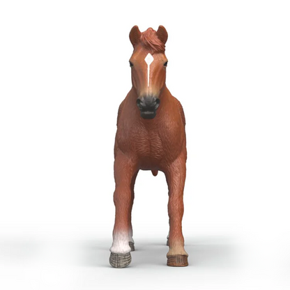 Schleich Thoroughbred Stallon
