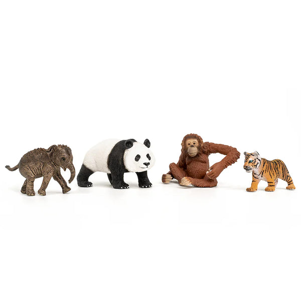 Schleich Wild Life Asia Starter Set 2025