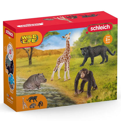 Schleich Wild Life Safari Starter Set