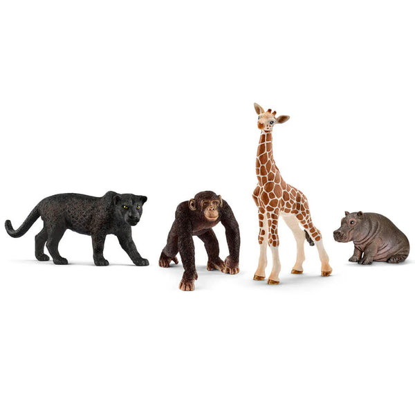 Schleich Wild Life Safari Starter Set