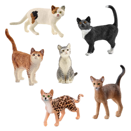 Mixed Cat 6pc Bundle