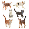Mixed Cat 6pc Bundle