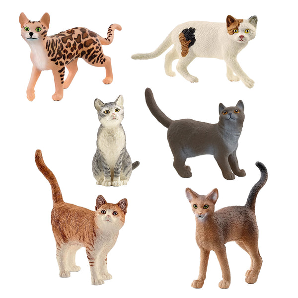 Mixed Cat 6pc Bundle