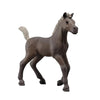 Schleich Collectible Foal Darcy
