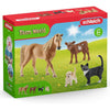 Schleich Farm & Pet Starter Set