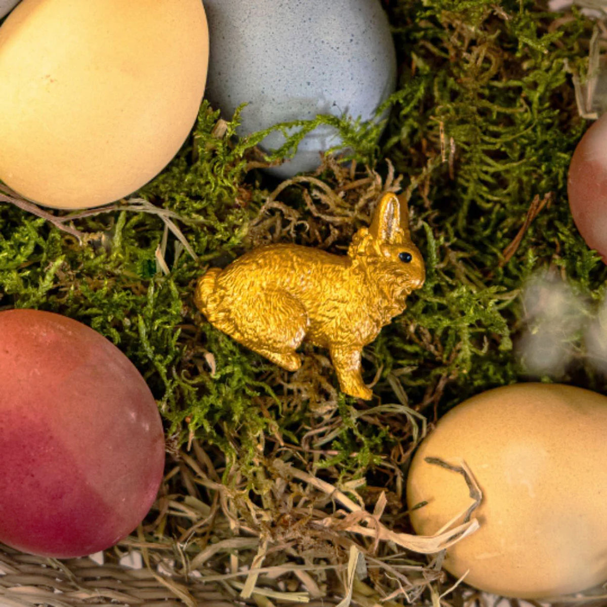 Schleich Golden Rabbit – Animal Kingdoms Toy Store