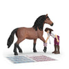 Schleich Horse Clinic - Healing Hooves