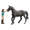 Schleich Horse Club Lisa & Storm