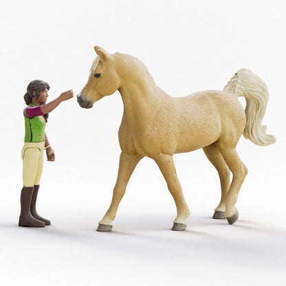 Schleich Horse Club Sarah & Mystery