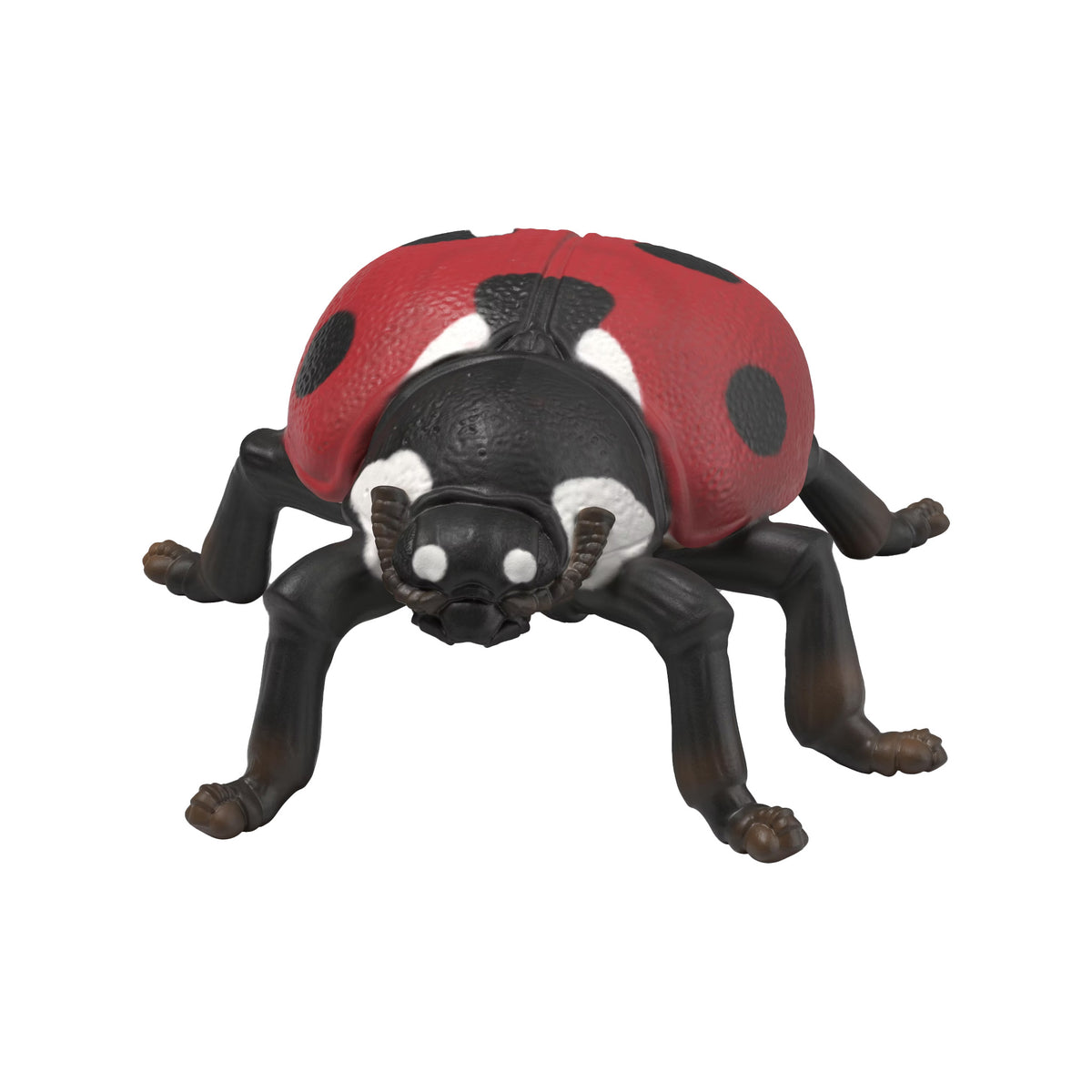 Schleich Insects Discovery Set
