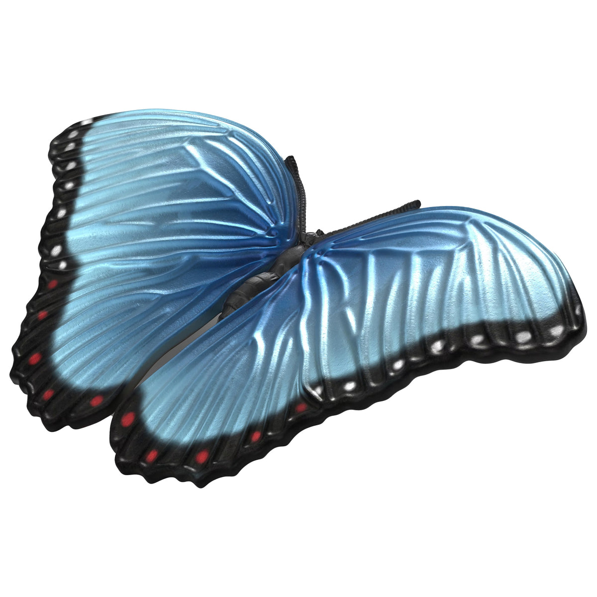 Schleich Insects Discovery Set