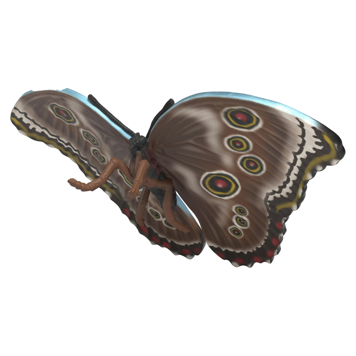 Schleich Insects Discovery Set