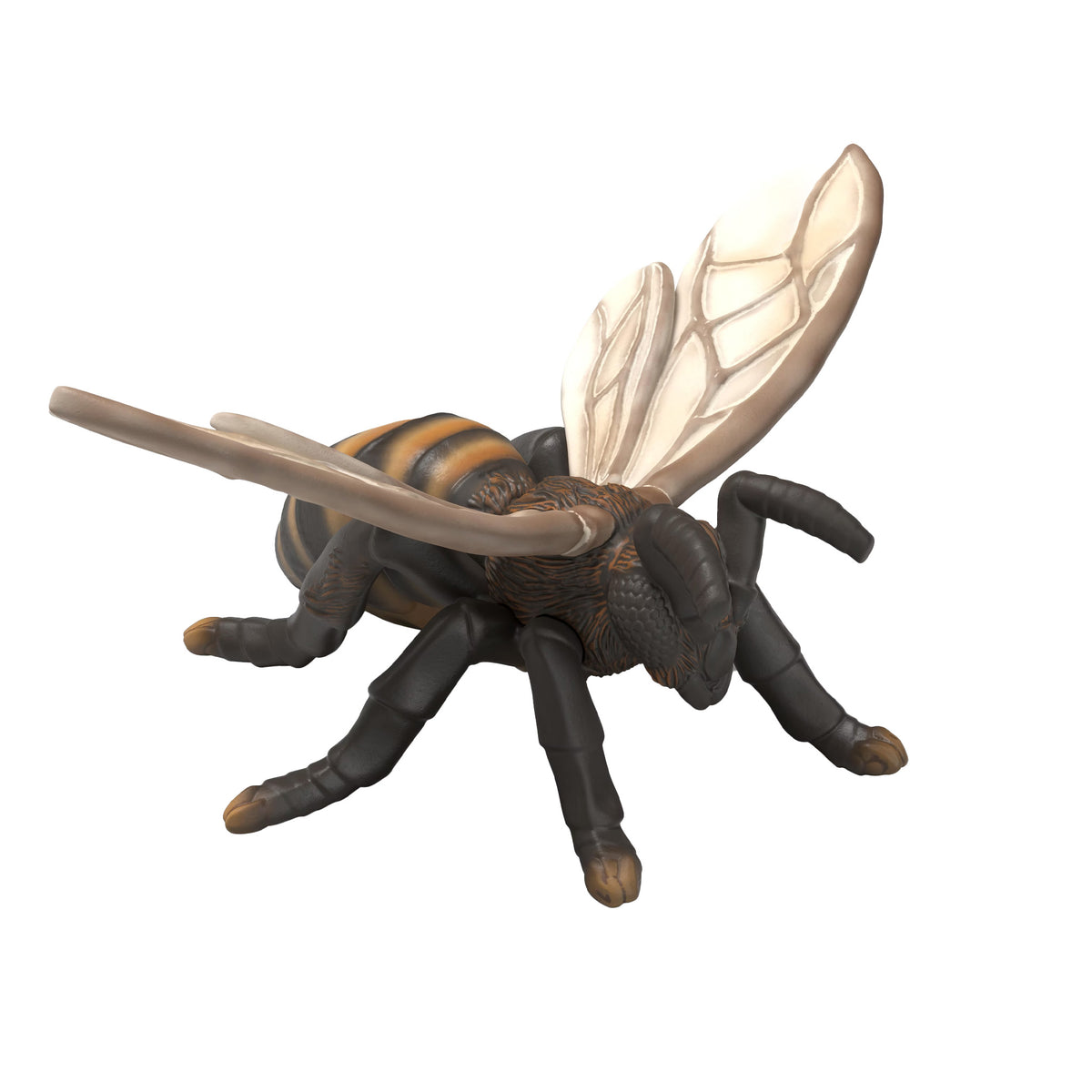 Schleich Insects Discovery Set