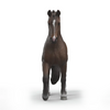 Schleich KWPN Gelding