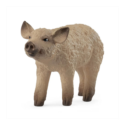 Schleich Mangalica Piglet