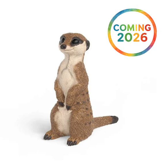 Schleich Meerkat
