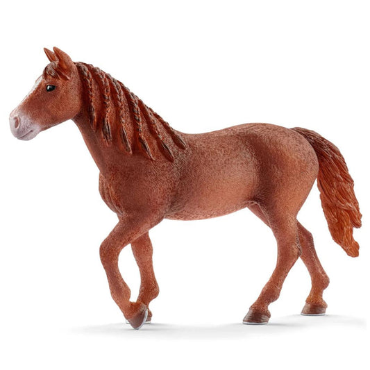 Schleich Morgan Mare
