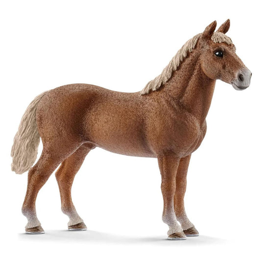 Schleich Morgan Stallion