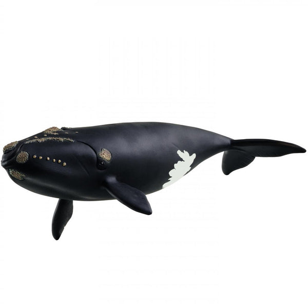 Schleich North Atlantic Right Whale