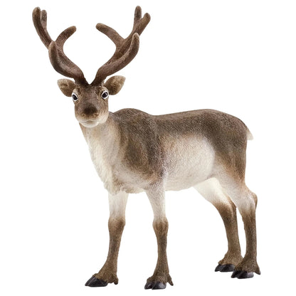 Schleich Polar Wildlife Set