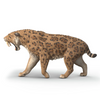 Schleich Saber-Toothed Tiger