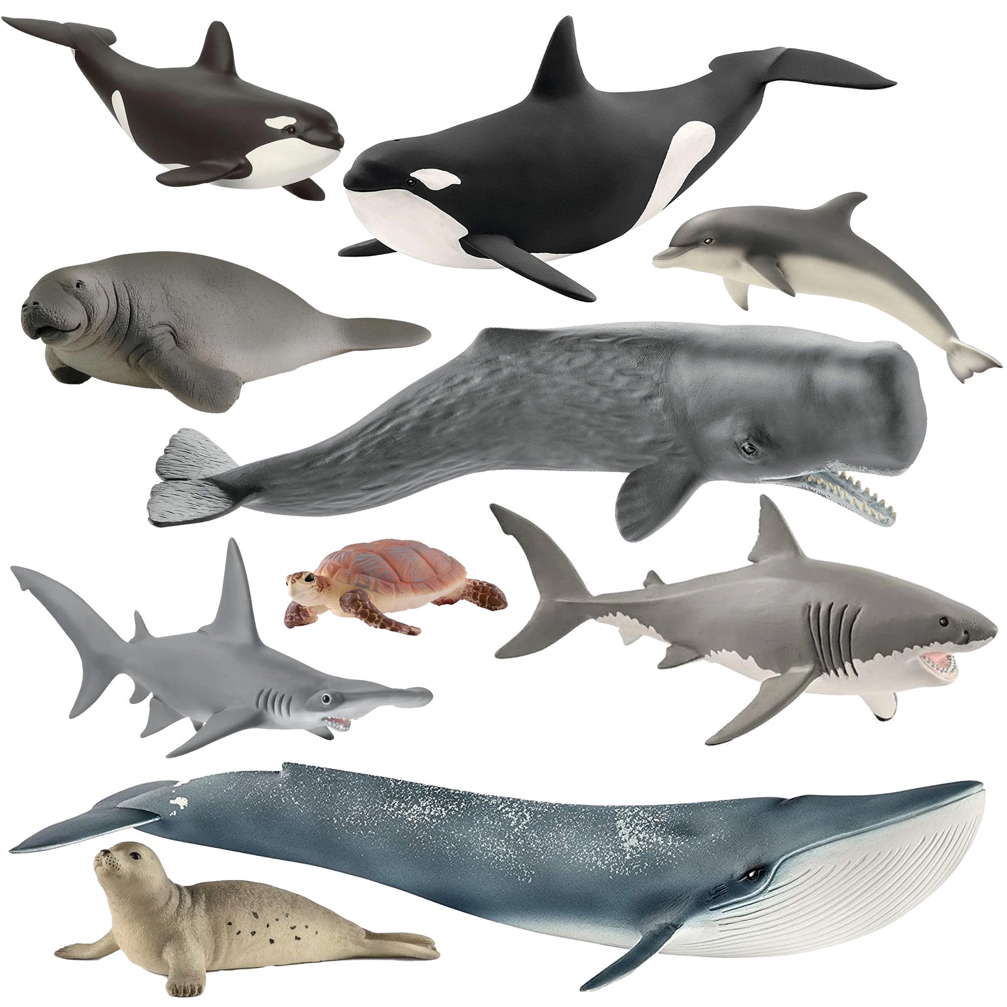 Schleich Sea Life – 10 piece set – Animal Kingdoms Toy Store