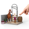 Schleich Sofia's Horse Wash