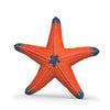 Schleich Starfish