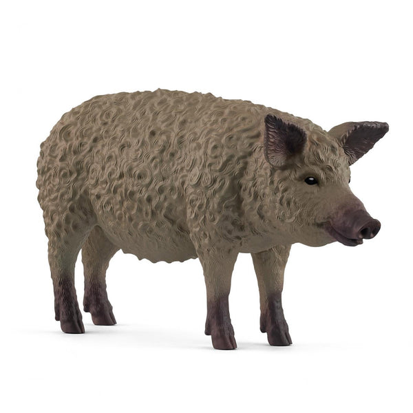 Schleich Mangalica Pig