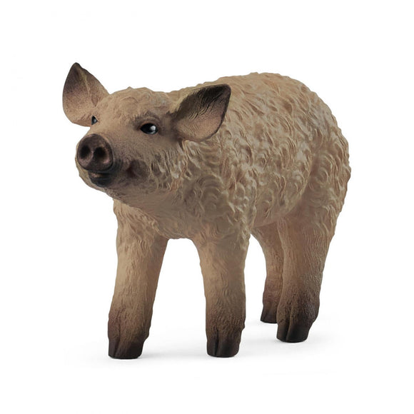 Schleich Mangalica Piglet