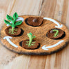Tara Treasures: Felt Lifecycle of a Bean Plant