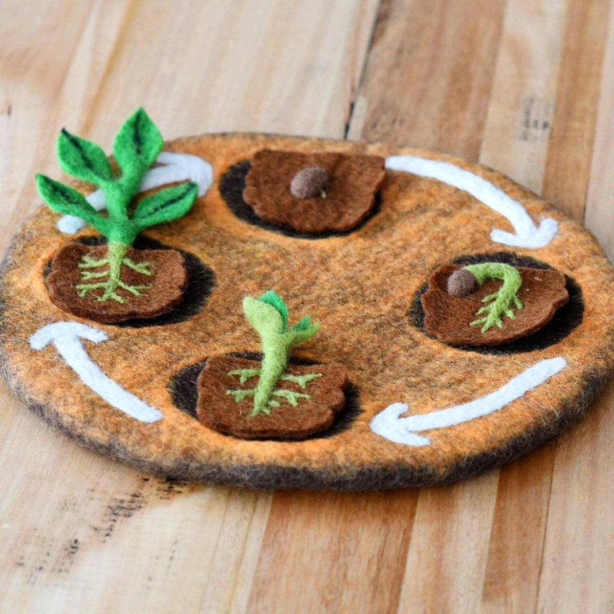 Tara Treasures: Felt Lifecycle of a Bean Plant