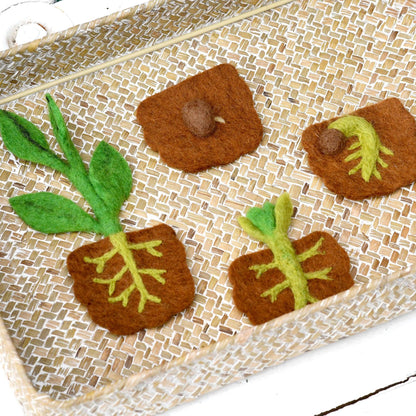 Tara Treasures: Felt Lifecycle of a Bean Plant